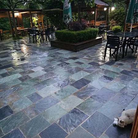 Bar Restorant Geshtenja * Rec