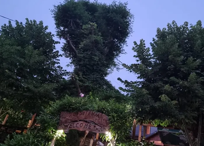 Отель Bar Restorant Geshtenja Rec